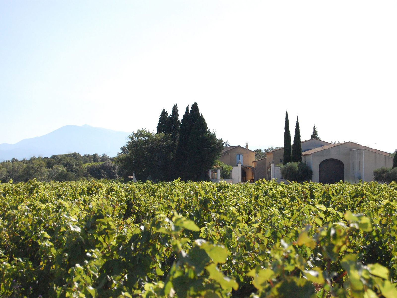 Domaine de la Charbonnière - Baron Francois